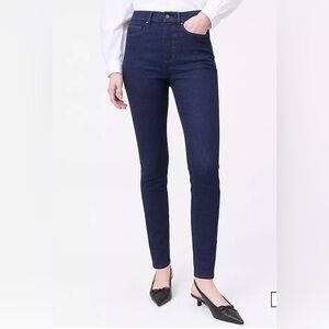 Ann Taylor Navy Skinny Jeans